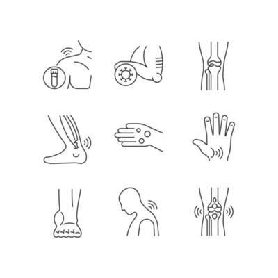 Tendon Vector Art, Icons, and Graphics for Free Download