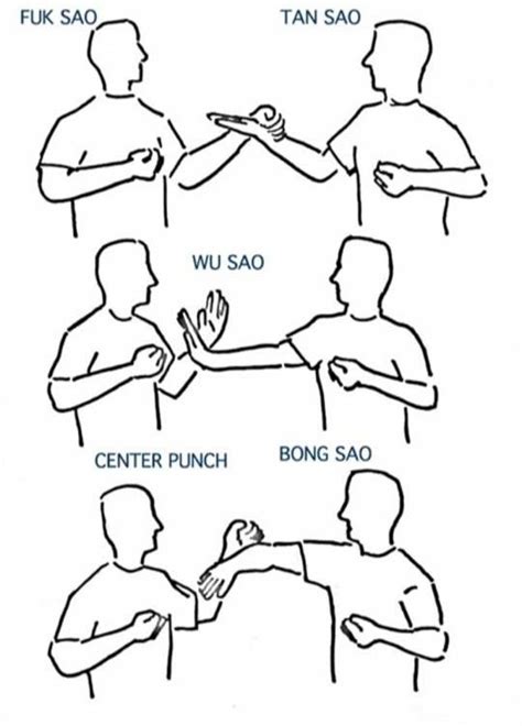 Basic Wing Chun hand positions. | Martial arts sparring, Wing chun ...