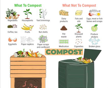 Common Materials for Composting in Your Own Home - The Urban Gardener