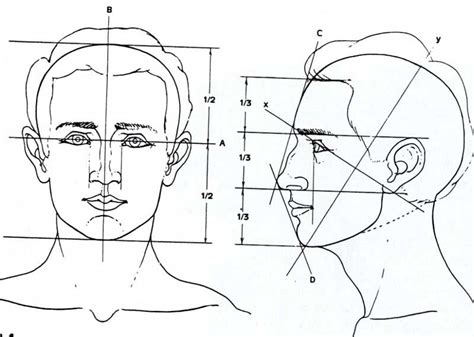 apollo13art.com | Drawing the human head, Face drawing, Drawing heads