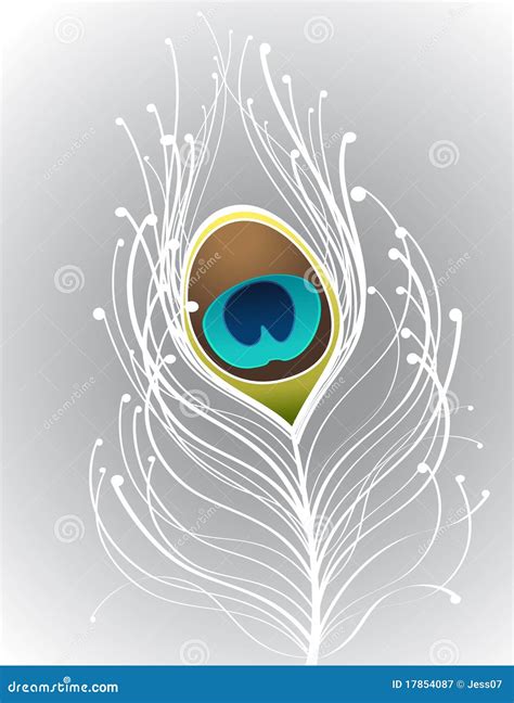 White Peacock Feather Stock Image | CartoonDealer.com #17854087