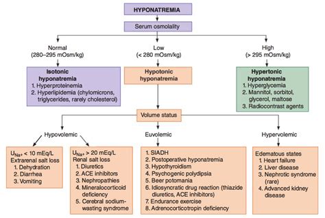 Hyponatremia Causes Algorithm