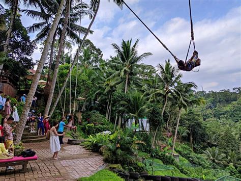 Bali Swing Ubud Top Attraction & Entrance Fee - IdeTrips