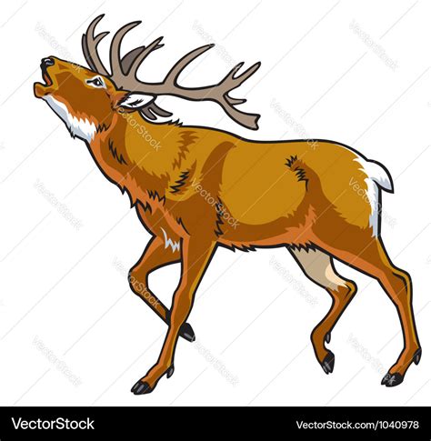 Red deer Royalty Free Vector Image - VectorStock