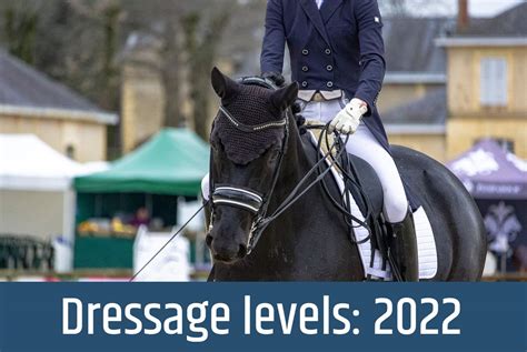 Levels in Dressage, an Expert's Guide - NorCordia