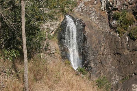 Cedar Creek Falls - Waterfall and Rock Pools in Tamborine NP