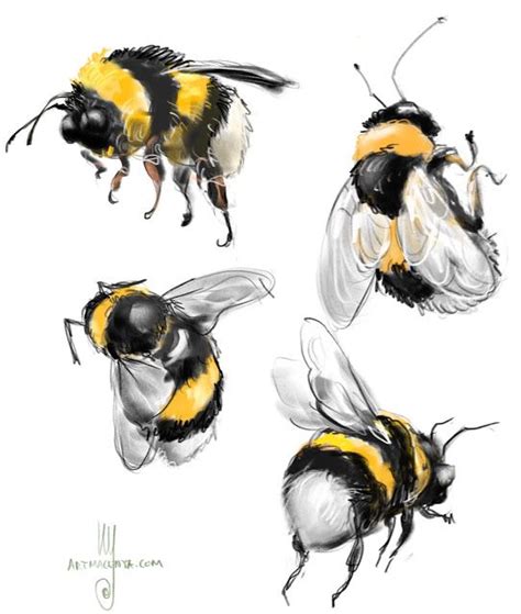 Everyday Sketches: Bumble bee | Bee drawing, Bee painting, Bee art