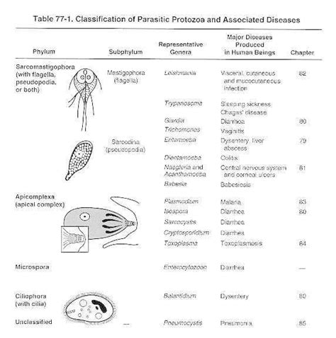 Table 77-1, Classification of Parasitic Protozoa and Associated ...