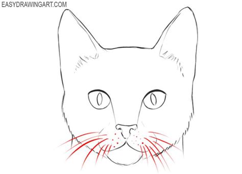 How to Draw a Cat Face | Cat face drawing, Cats art drawing, Black cat ...