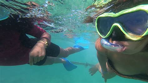 Snorkeling in Panagsama beach😍 #shorts | Panagsama Moalboal - YouTube