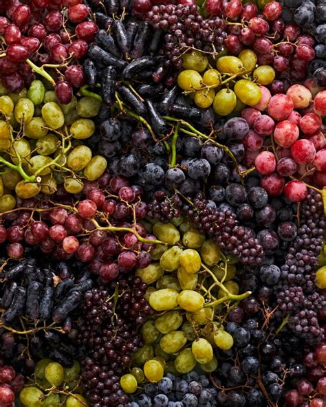 Types of Grapes | The Kitchn