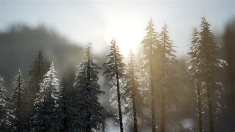 dramatic winter sunrise in the mountains 5681969 Stock Video at Vecteezy