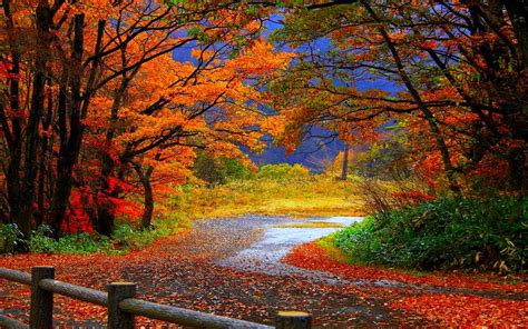 Fall Autumn Wallpapers - Wallpaper Cave