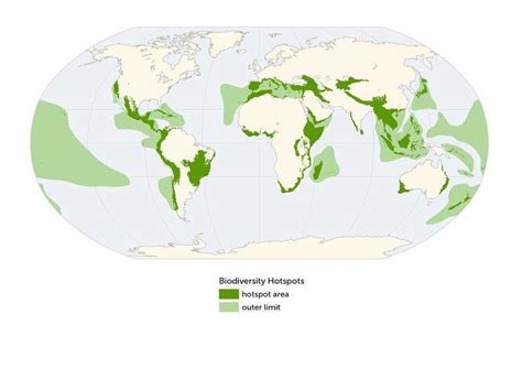 What are Biodiversity Hostpots? Examples | Environment Buddy