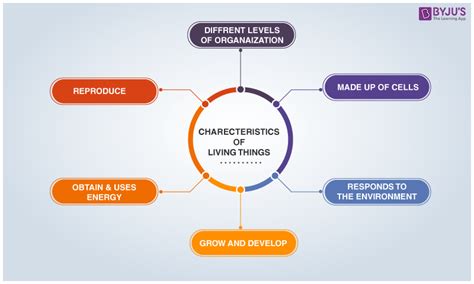 Living and Non living Things - Characteristics And Difference