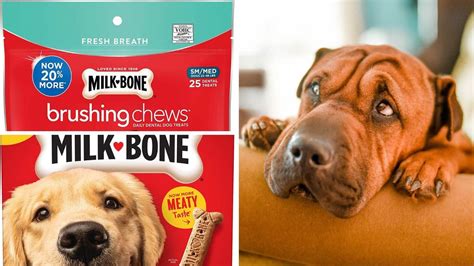 Perfect Dental Treat-Give Them Milk-Bone Brushing Chews