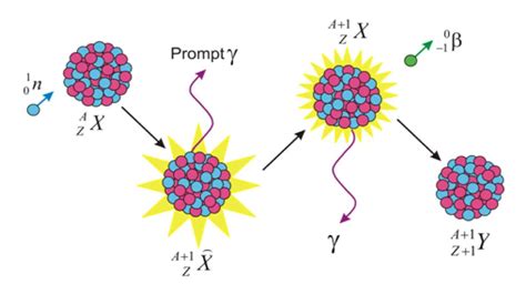 Application of Neutrons | nuclear-power.com