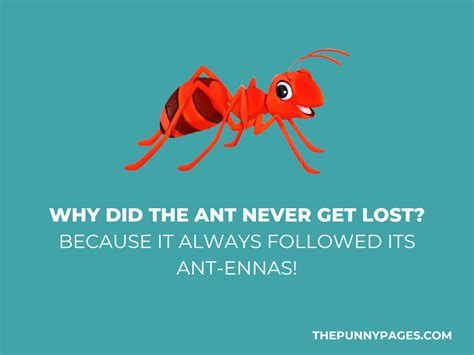 100+ Funny Ant Jokes & Puns - ThePunnyPages