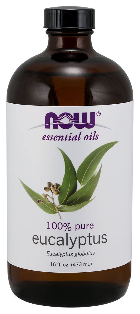 Now, 100% Pure Eucalyptus Essential Oil, Aromatherapy, 16oz - Walmart.com