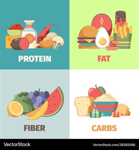 Food nutrition proteins fats carbohydrates fiber Vector Image