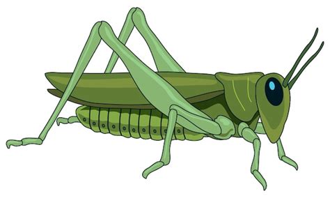 Premium Vector | Cute grasshopper looking furiously