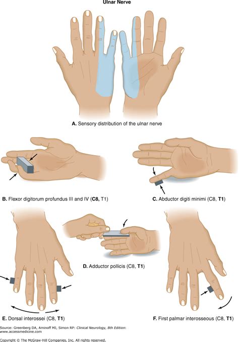 AccessMedicine | Search Results