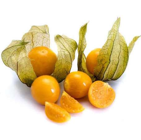 CAPE GOOSEBERRY SEEDS | Most Popular Seeds