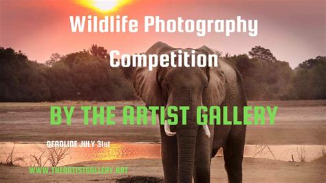 Wildlife Photography Contest by The Artist Gallery ends 31 July 2023 ...