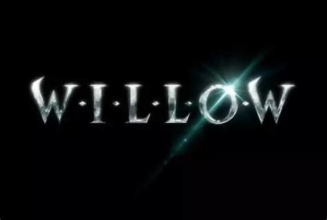 Willow Logo