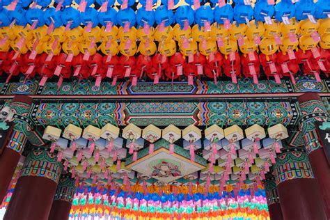 Jogyesa Temple - MX Chronicles