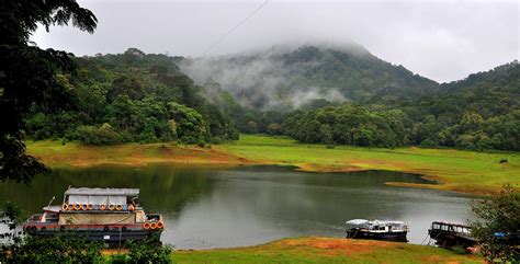 Complete Tourism Info about Thekkady - Experience Kerala