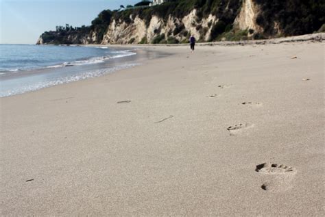 Paradise Cove Beach in Malibu, CA - California Beaches