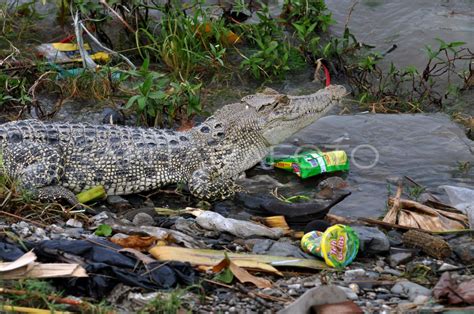 PENCEMARAN SUNGAI DI INDONESIA | ANTARA Foto