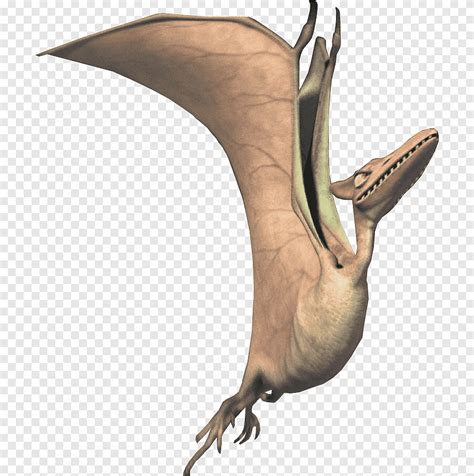 Pteranodon Harpactognathus Tyrannosaurus Sid Spinosaurus، العصر الجليدي ...