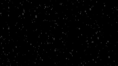 Snow Falling Loop Stock Video Footage for Free Download