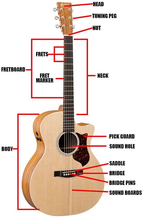 Acoustic Guitar Diagram | Learn piano, Best acoustic guitar, Guitar