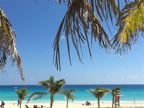 palm trees line the beach as people sit on lounge chairs and swim in ...