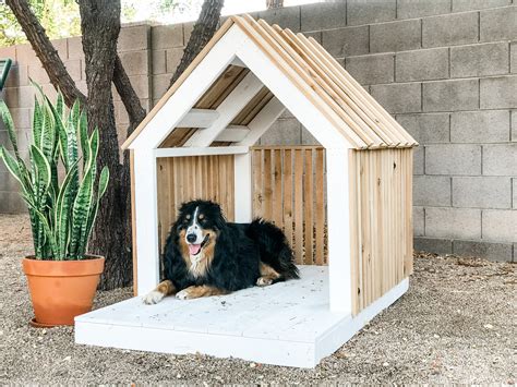 DIY Modern Dog House for Oscar! — the Awesome Orange