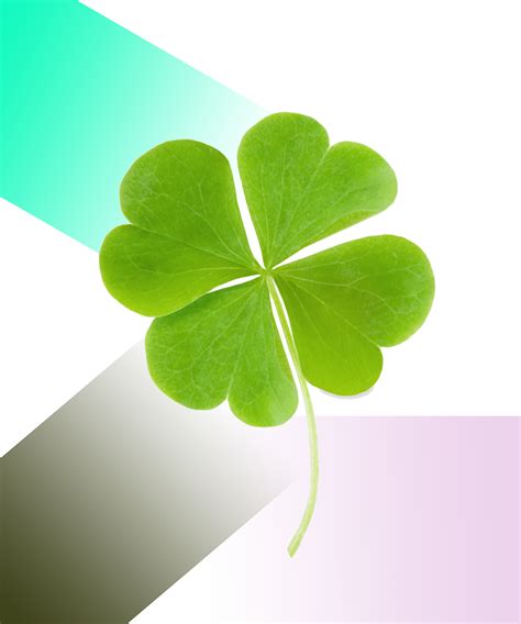 Three Leaf Clover Trinity