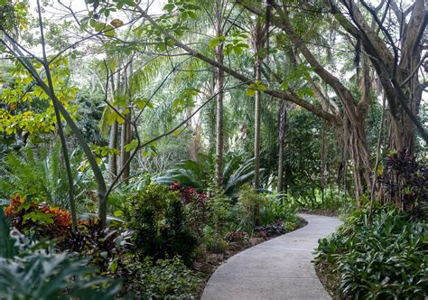 Orlando Oasis at Leu Gardens - Cultivated and Wild