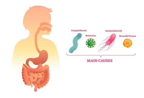 Introduction to Biological Food Hazards