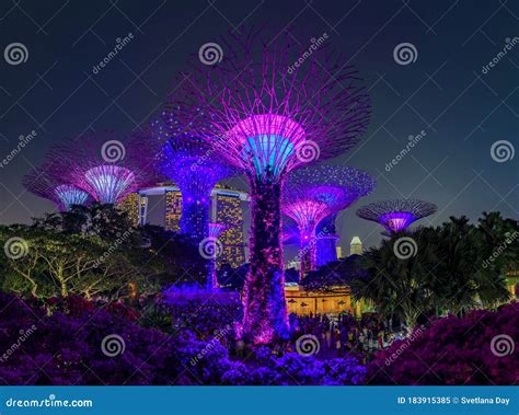 Garden Rhapsody, Colorful Light Show at the Supertree Grove Gardens by ...