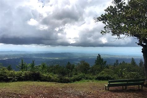 Maricao State Forest (Photo by Dr. Amelia Merced Alejandro… | Flickr