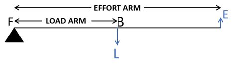 Draw a diagram of a lever which is always used as a force | KnowledgeBoat