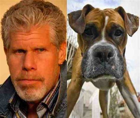 27 Unbelievably Accurate Dog Lookalikes That Will Give You Chills