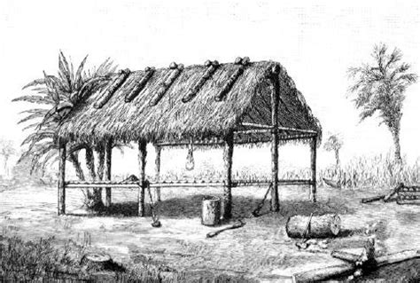 Seminole Dwellings