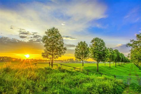 scenery, Sunrise, And, Sunset, Field, Trees, Nature Wallpapers HD ...