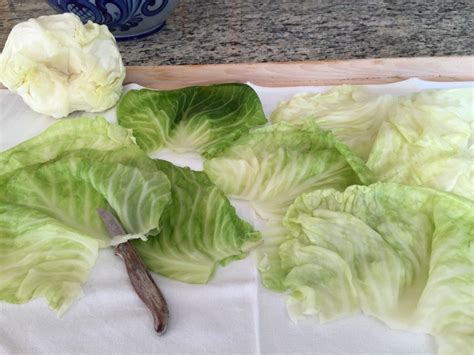 Traditional Cabbage Rolls | GermanStuffed Cabbage Rolls