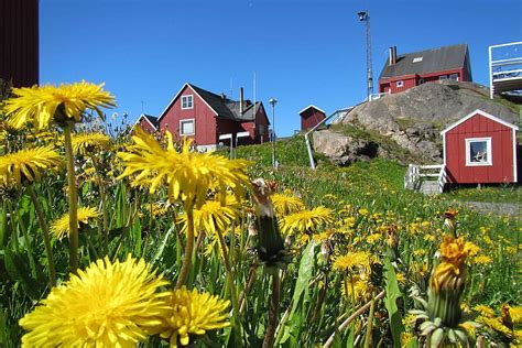 Sisimiut, Greenland - Thin Ice Blog