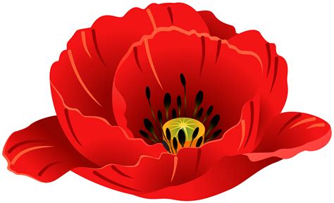 poppies clip art 10 free Cliparts | Download images on Clipground 2024